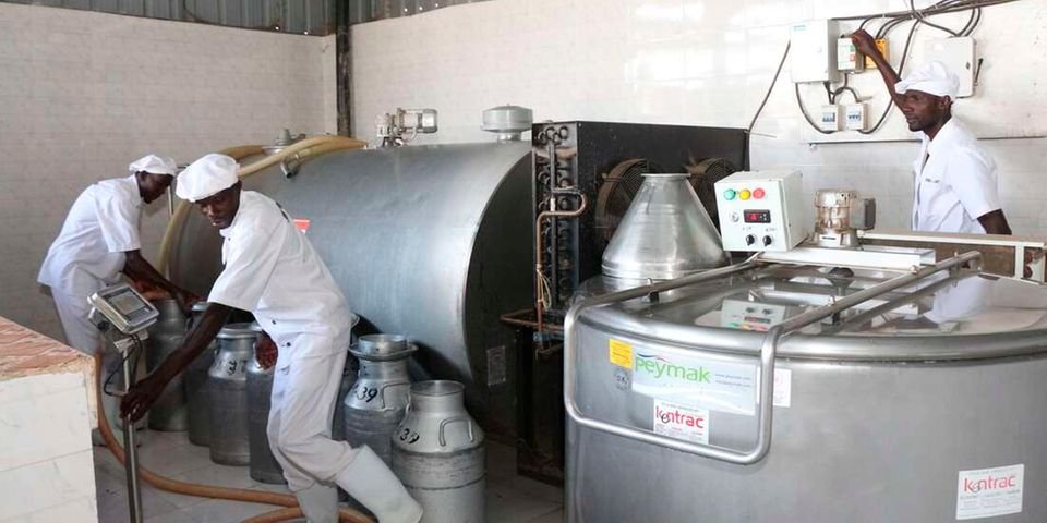 Relief for milk consumers in Kenya as prices decline