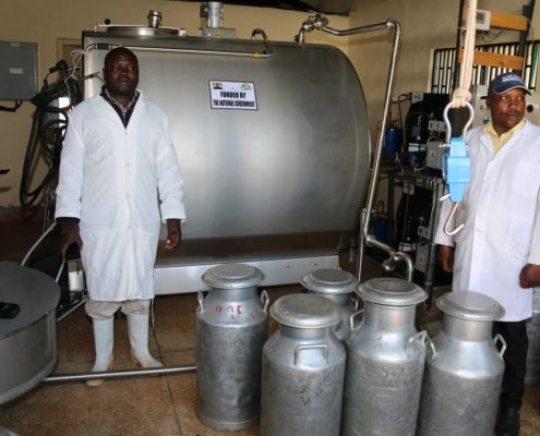 Common milk pasteurization methods in Kenya