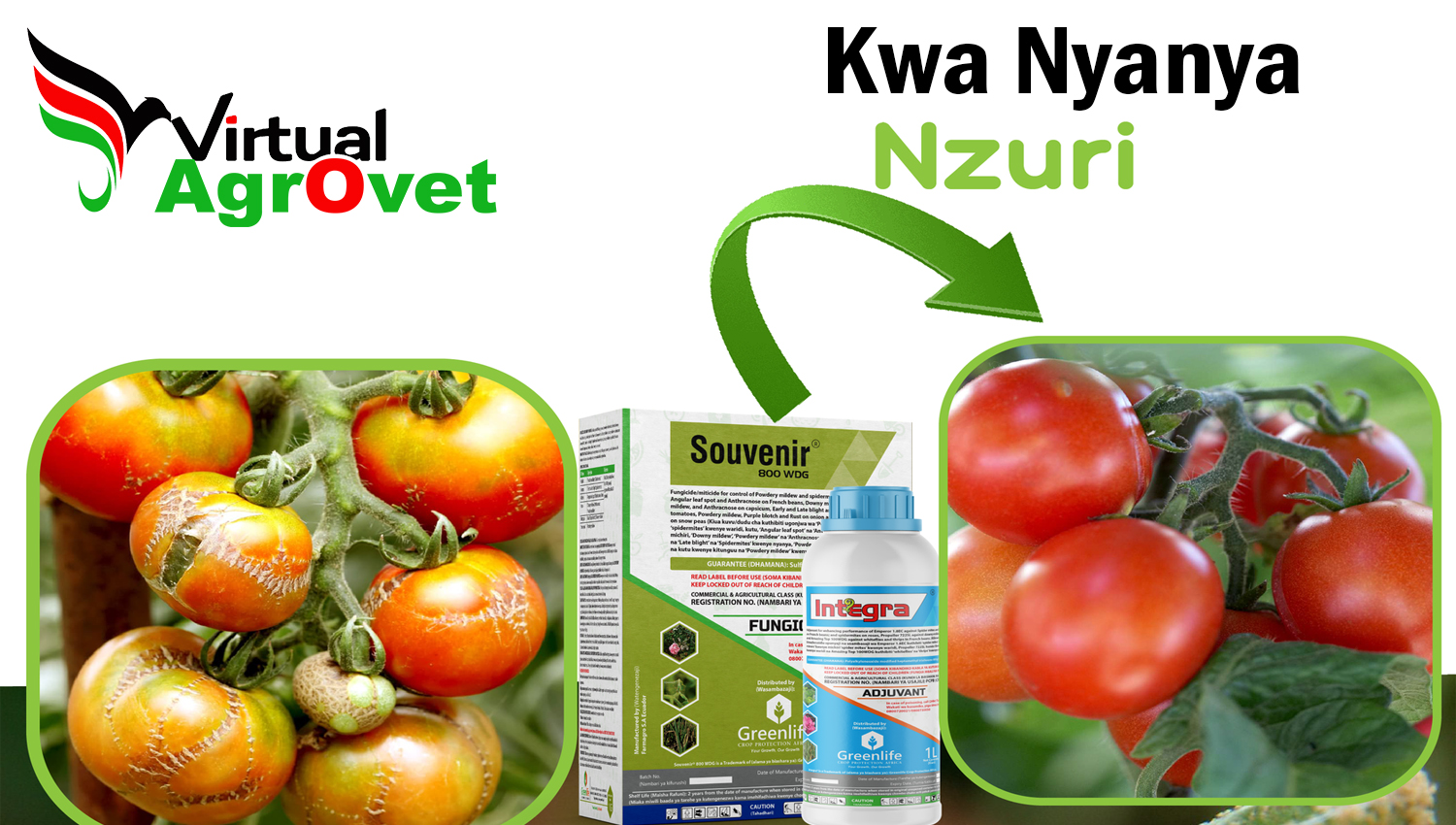 Online Agrovet In Kenya, Virtual Agrovet Changing The Way Farmers and Vendors Conduct Business